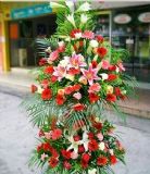 水城开业花篮